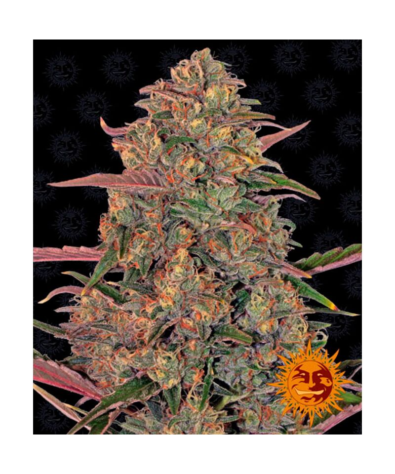 Pineapple Chunk, Фасовка: 3, изображение 8